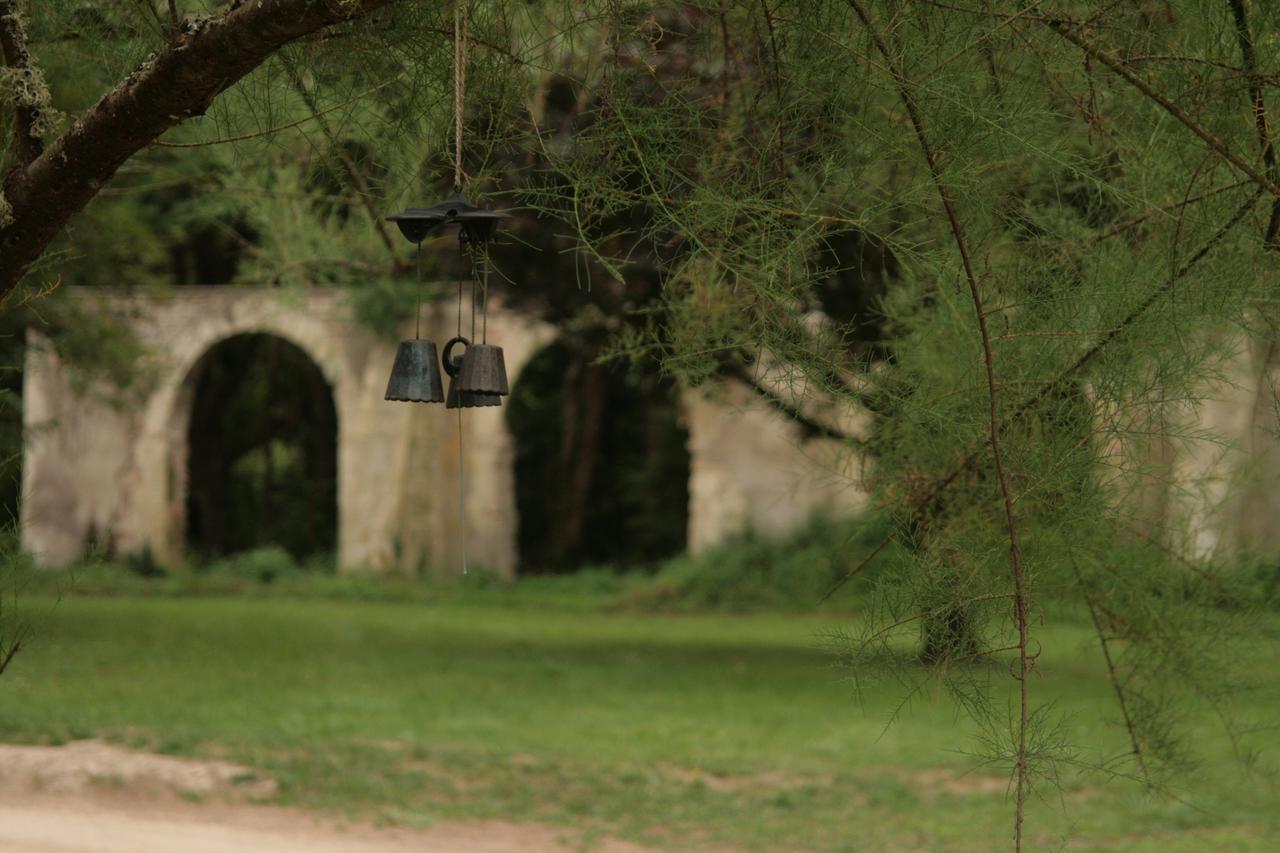 Domaine Des Douves Bed & Breakfast Ancy-le-Franc Екстериор снимка